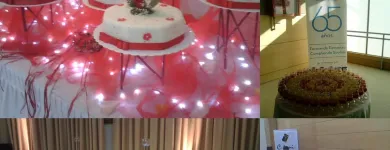 La imagen 3 de la Empresa CATANIA PRODUCCIONES DE EVENTOS LTDA. Toldos en Concepción BI