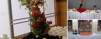 La imagen 4 de la Empresa CATANIA PRODUCCIONES DE EVENTOS LTDA. Toldos en Concepción BI