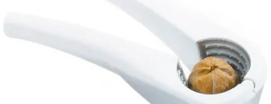 La imagen 16 de la Empresa CHERRY CHILE LIMITADA Wilton en Santiago RM