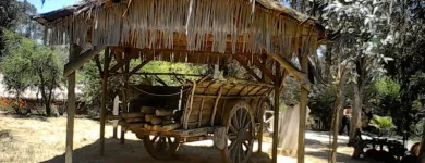 La imagen 8 de la Empresa CHILERUSTIKO ARTESANIA CHILENA Sillas en Santiago RM