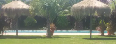 La imagen 9 de la Empresa CHILERUSTIKO ARTESANIA CHILENA Sillas en Santiago RM