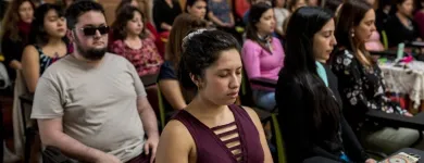 La imagen 4 de la Empresa CURSO BARRAS DE ACCESS EN SANTIAGO LILIBETH CARRASCO Terapias en Santiago RM