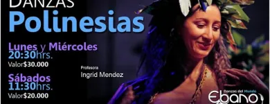 La imagen 1 de la Empresa DANZA EBANO LTDA. Escuelas De Danzas en Ñuñoa RM