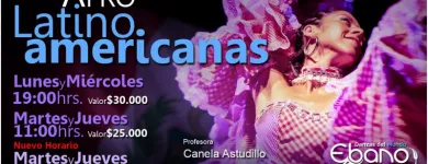 La imagen 6 de la Empresa DANZA EBANO LTDA. Escuelas De Danzas en Ñuñoa RM