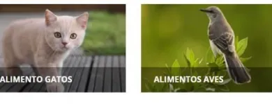 La imagen 3 de la Empresa DISTRIBUIDORA DON PAOLO Tienda de suministros para mascotas en Valparaíso VS