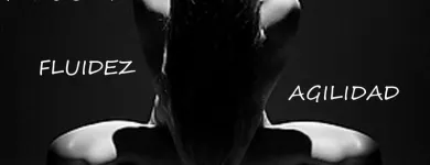 La imagen 3 de la Empresa DIVINO PILATES CHILE TRX en Las Condes en Las Condes RM