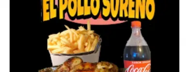 La imagen 4 de la Empresa EL POLLO SUREÑO SPIEDO en Ñuñoa RM