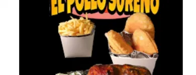 La imagen 5 de la Empresa EL POLLO SUREÑO SPIEDO en Ñuñoa RM