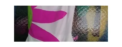 La imagen 62 de la Empresa EMIBRU Zapatillas Chicle en Temuco AR
