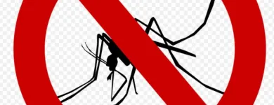 La imagen 2 de la Empresa EXTERMINACIÓN DE PLAGAS Termitas en Quilpué VS