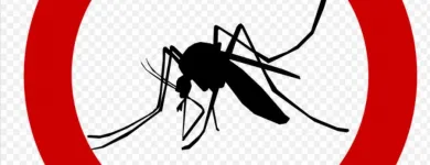 La imagen 3 de la Empresa EXTERMINACIÓN DE PLAGAS Termitas en Quilpué VS