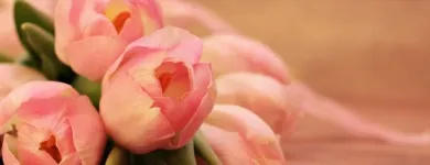 La imagen 4 de la Empresa FLORERÍA NAOMI Florista en Coquimbo CO