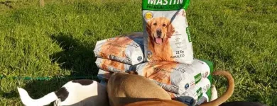 La imagen 4 de la Empresa FUNDACIÓN PERRIOT CANINO Servicio de veterinaria de emergencia en Lo Barnechea RM