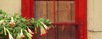 La imagen 5 de la Empresa GALERIA FOTOCICLOPE Fotografías en Valparaíso VS