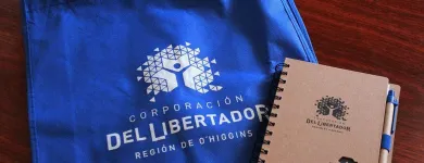 La imagen 7 de la Empresa GRAFICO Volantes en Rancagua AI