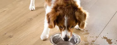 La imagen 7 de la Empresa LAS AMERICAS Ventanas De Pvc en Las Condes RM