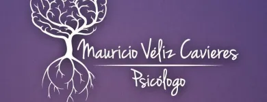 La imagen 3 de la Empresa MAURICIO VÉLIZ Psicologo en Rancagua AI