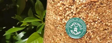 La imagen 5 de la Empresa PANADERÍA Y PASTELERÍA EL MOLINO ALEMÁN VARIEDAD DE PAN en Viña del Mar VS