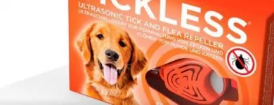 La imagen 1 de la Empresa PET KINGDOM Tienda para mascotas en Lo Barnechea RM