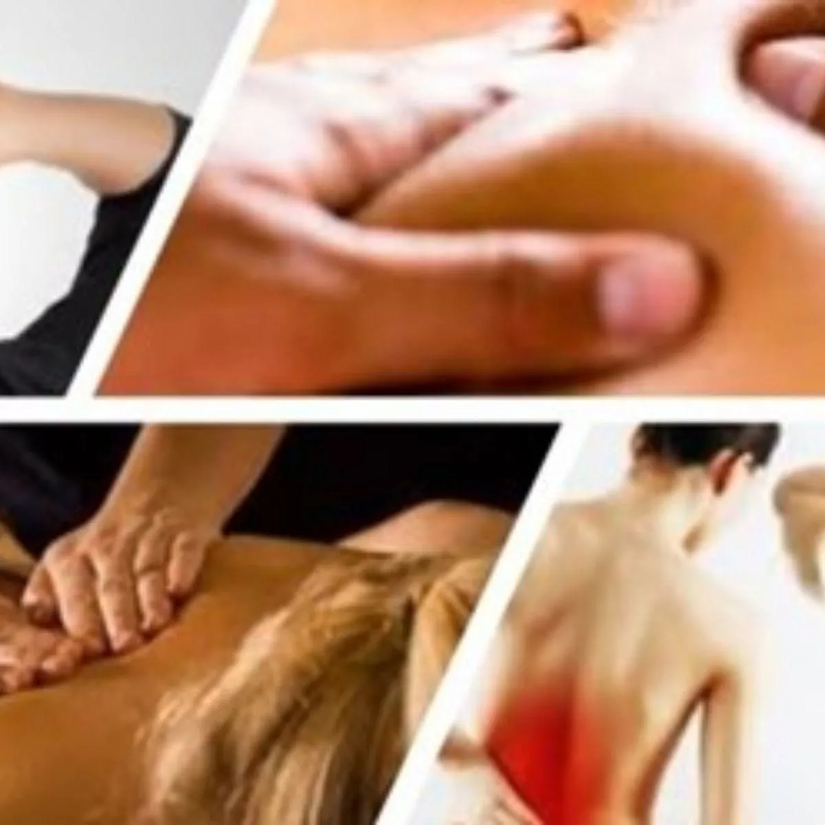 La imagen 3 de la Empresa ROSITA SPA