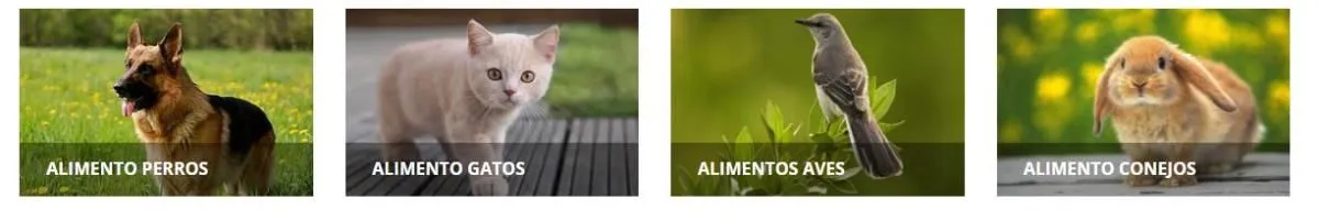 La imagen 3 de la Empresa DISTRIBUIDORA DON PAOLO