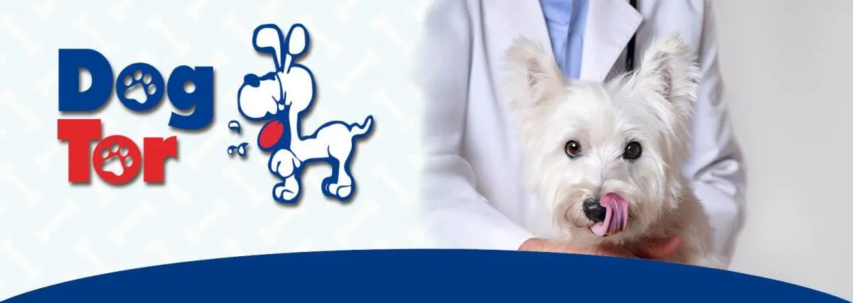 La imagen 2 de la Empresa CLÍNICA VETERINARIA DOGTOR