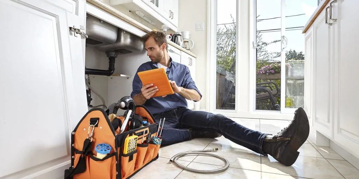 La imagen 3 de la Empresa MULTISERVICE  (LA REINA)