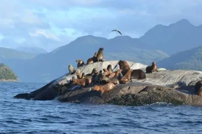 La imagen 1 de la Empresa ECONETWORK E.I.R.L. CONSULTORA AMBIENTAL