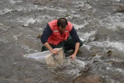 La imagen 2 de la Empresa ECONETWORK E.I.R.L. CONSULTORA AMBIENTAL