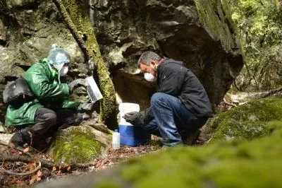 La imagen 4 de la Empresa ECONETWORK E.I.R.L. CONSULTORA AMBIENTAL