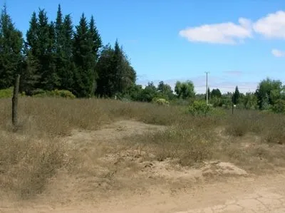 La imagen 3 de la Empresa PROMONEGOCIOS