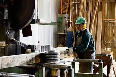 La imagen 1 de la Empresa MADERERA DE CHILE