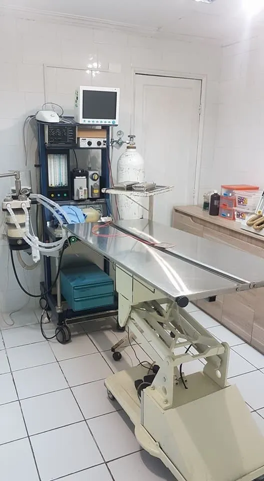La imagen 1 de la Empresa CLÍNICA VETERINARIA DOGTOR