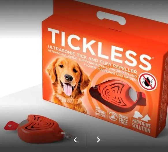 La imagen 1 de la Empresa PET KINGDOM