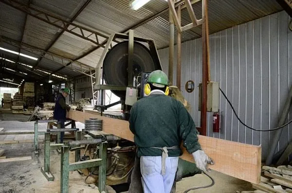 La imagen 2 de la Empresa MADERERA DE CHILE