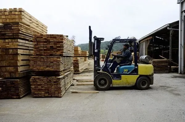 La imagen 3 de la Empresa MADERERA DE CHILE