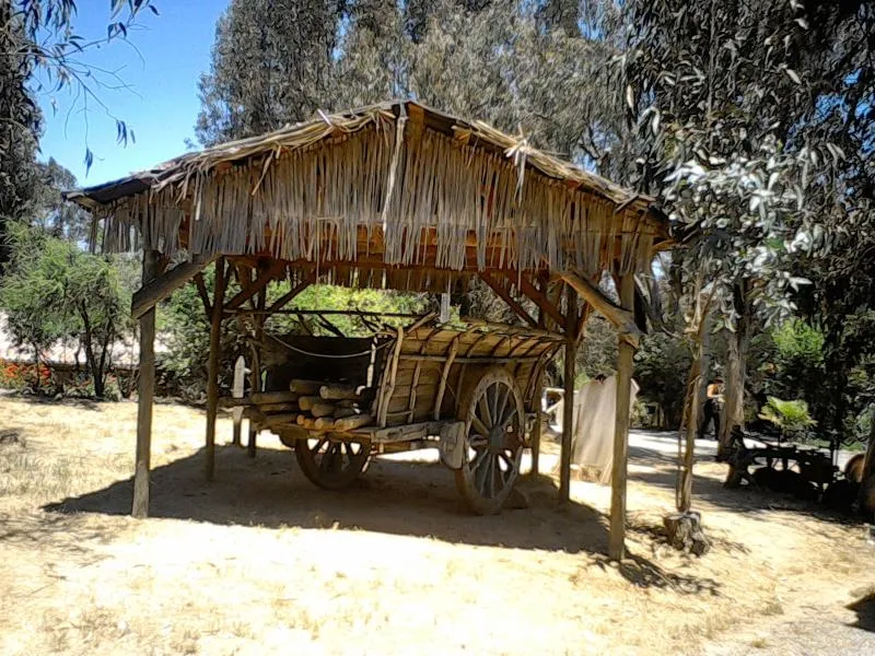 La imagen 8 de la Empresa CHILERUSTIKO ARTESANIA CHILENA