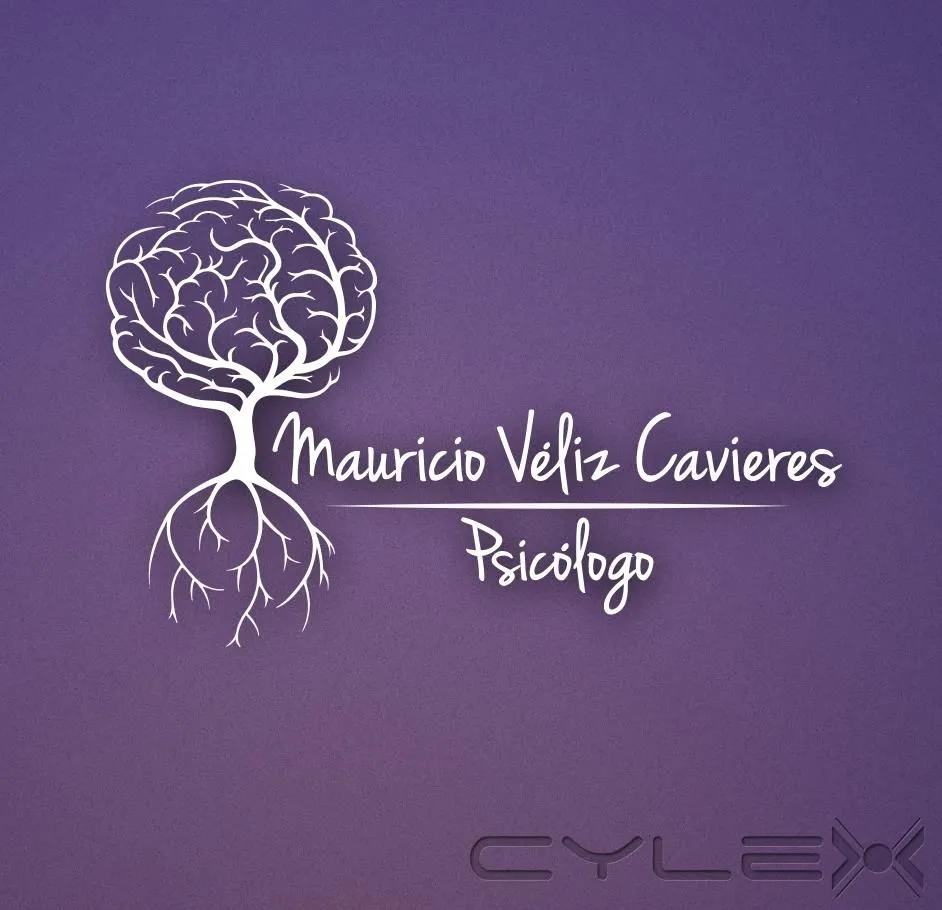 La imagen 3 de la Empresa MAURICIO VÉLIZ