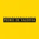 PREUNIVERSITARIO PEDRO DE VALDIVIA - SUCURSAL CONCEPCIÓN Universidad en Concepción BI