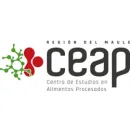 CEAP CENTRO DE EVALUACIÓN Y ATECIÓN PSICOLÓGICA Terapias en Las Condes RM
