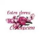 ENTRE FLORES CONCEPCIÓN Florista en Concepción BI