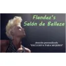 FLANDEZ'S SALÓN Tinturas en Viña del Mar VS