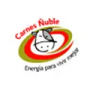 CARNES ??UBLE Carnes en Chillan BI