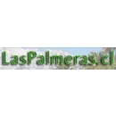 COMERCIAL DELVIMAQ LIMITADA Washingtonia Robusta en San Bernardo RM