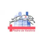 HOSPITAL VETERINARIO - PEDRO DE VALDIVIA