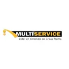GRÚAS MULTISERVICE FL LTDA.