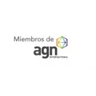 AGN ABATAS AUDITORES CONSULTORES LTDA