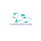 VETERINARA CURAUMA  SUR