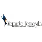 FOTÓGRAFO ALEJANDRO HERMOSILLA
