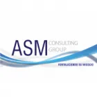ASM CONSULTING GROUP